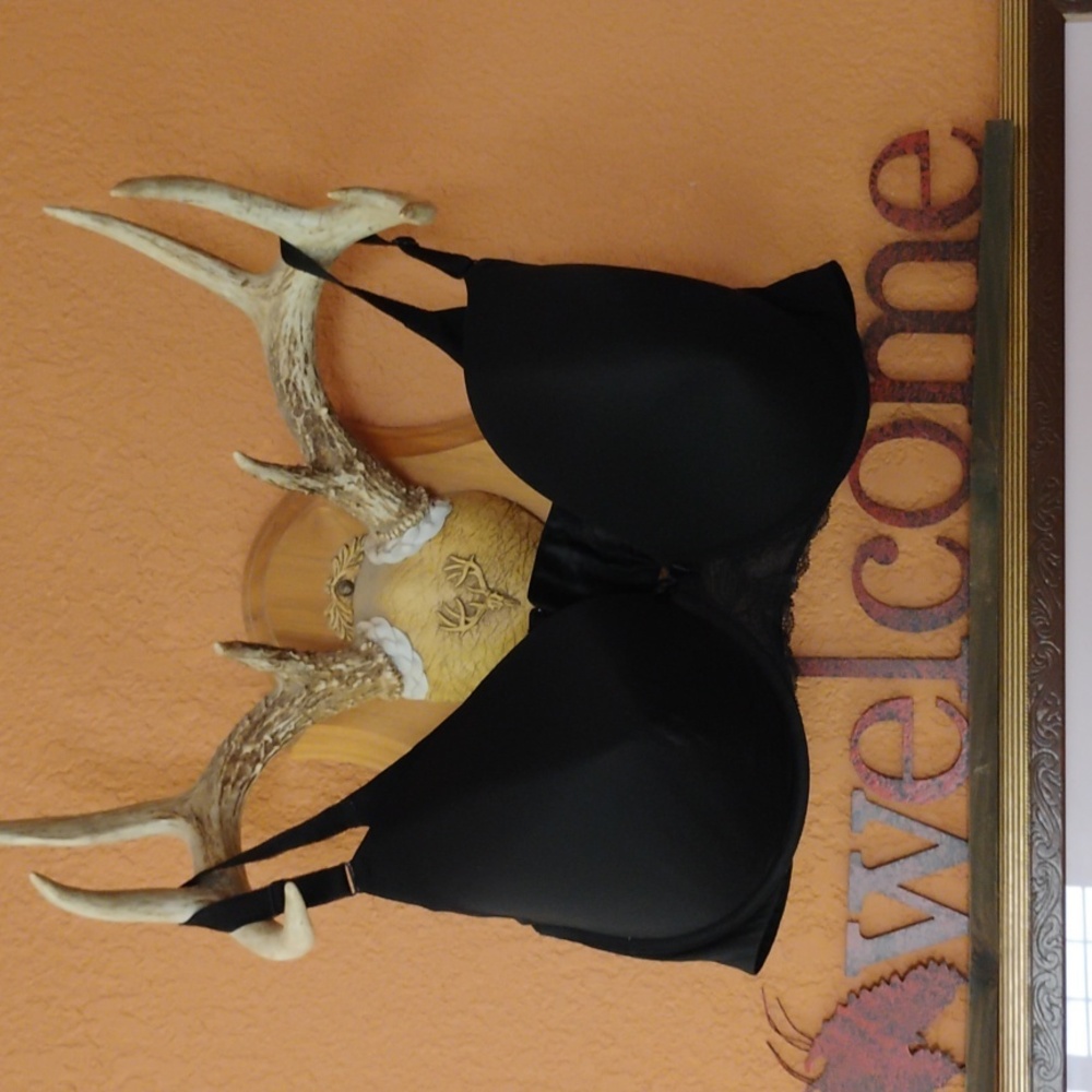 💖 TORRID CURVES BLACK BEAUTY 148862 PUSH UP T SHIRT BRA 50C EPLC